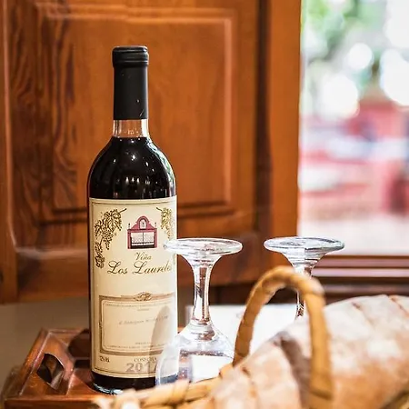 Homeforguest Cosy Rural Flat La Lavanda Surrounded By Nature