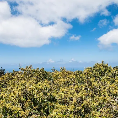Apartamento Homeforguest Cosy Rural Flat La Lavanda Surrounded By Nature Tacoronte
