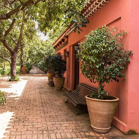 Apartamento Homeforguest Cosy Rural Flat La Lavanda Surrounded By Nature *