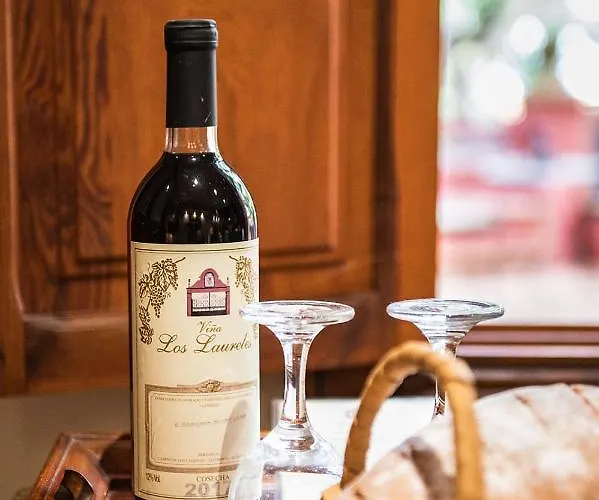 Homeforguest Cosy Rural Flat La Lavanda Surrounded By Nature