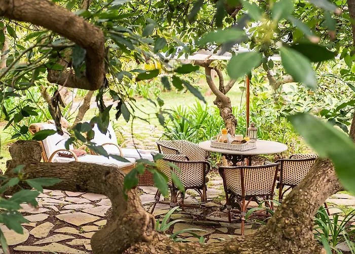 Homeforguest Cosy Rural Flat La Lavanda Surrounded By Nature * Tacoronte