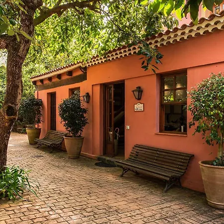Apartment Homeforguest Cosy Rural Flat La Lavanda Surrounded By Nature Tacoronte