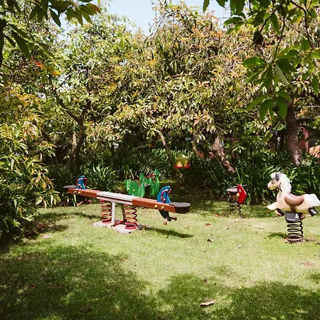 Homeforguest Cosy Rural Flat La Lavanda Surrounded By Nature Apartment