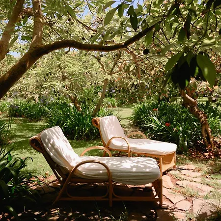 Homeforguest Cosy Rural Flat La Lavanda Surrounded By Nature Apartman *