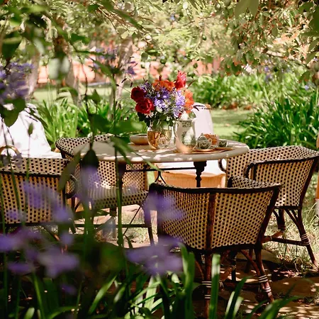 Homeforguest Cosy Rural Flat La Lavanda Surrounded By Nature Appartement Tacoronte