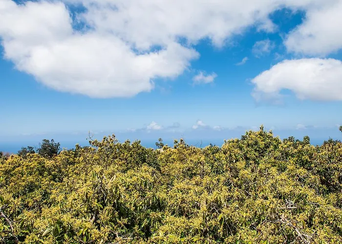 شقة Homeforguest Cosy Rural Flat La Lavanda Surrounded By Nature تاكورونتي