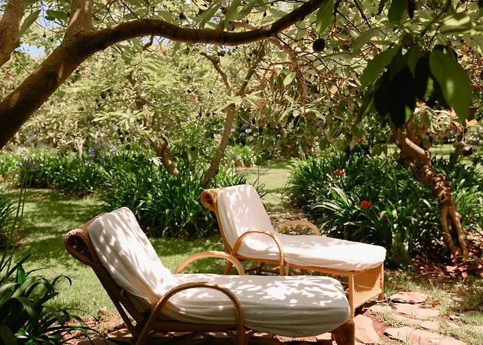 Homeforguest Cosy Rural Flat La Lavanda Surrounded By Nature شقة *